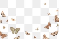 Png aesthetic butterfly border, transparent background