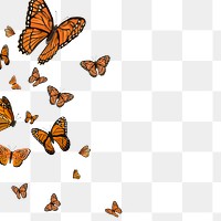 Orange butterfly png border, transparent background