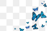 Blue butterfly png border, transparent background