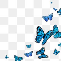 Png butterfly border transparent background