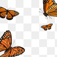 Png butterfly border transparent background