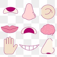 Sensory organs png sticker, cartoon flat graphic icon transparent background set