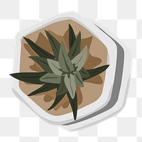 Cactus plant sticker, houseplant illustration on transparent background