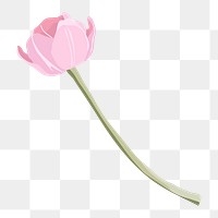 Pink tulip png, flower clipart design