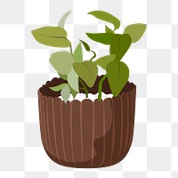 Houseplant png sticker, nature illustration design