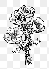 Flower png hand drawn, coloring book clip art on transparent background