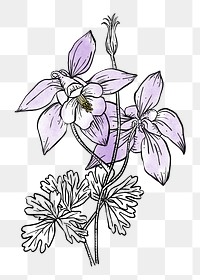 Flower watercolor png line art, aesthetic element, transparent background
