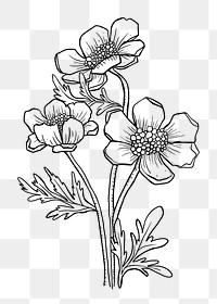 Flower png hand drawn, coloring book clip art on transparent background