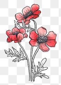 Poppy watercolor png line art, aesthetic element, transparent background