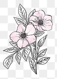 Flower watercolor png line art, aesthetic element, transparent background