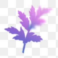 Aesthetic leaf png sticker, transparent background