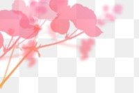 Pink gradient png floral border, with transparent background, aesthetic design.