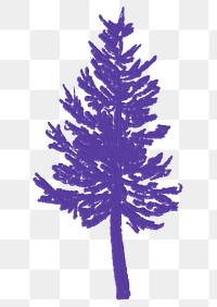 Png pine tree watercolor painting sticker, aesthetic minimal design, transparent background