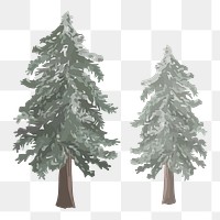 Pine trees png sticker, transparent background