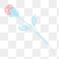 Floral line art png transparent background, pastel kids doodle design