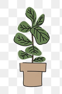 Fiddle leaf fig png sticker, home decor illustration