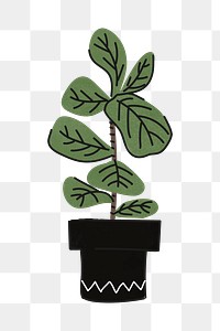 Fiddle leaf fig png sticker, home decor illustration