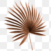 Tropical leaf png sticker, brown aesthetic design, transparent background