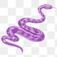 Purple snake png clipart, transparent background