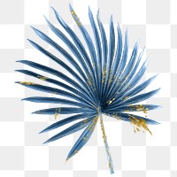 Tropical leaf png clipart, blue fan palm leaf, transparent background