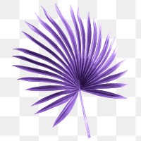 Tropical leaf png sticker, purple aesthetic design, transparent background