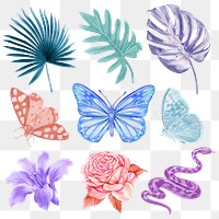 Aesthetic tropical png elements set, transparent background