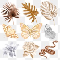 Brown aesthetic png tropical elements set, transparent background