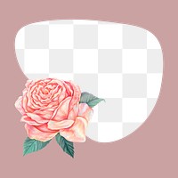 Pink png frame background, peach rose design, transparent design