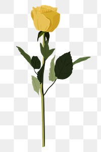 Yellow rose png sticker, transparent background