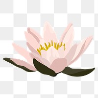 Lotus png sticker, transparent background