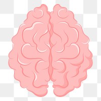 Brain png sticker, transparent background 