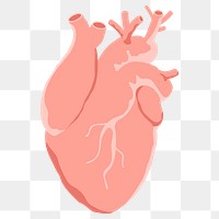 Heart png sticker, transparent background 