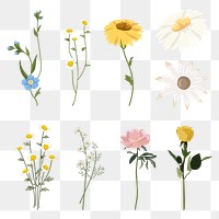 Flowers png stickers, transparent background set