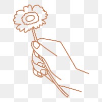 Hand png holding flower sticker, monoline illustration