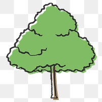 Ash tree png collage element, line art design on transparent background