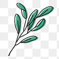 Sage leaf png collage element, line art design on transparent background