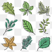 Png colorful leaf collage element collection on transparent background