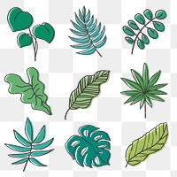 Leaf png sticker set, line art nature design on transparent background