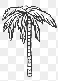 Palm tree png line art collage element, nature design on transparent background