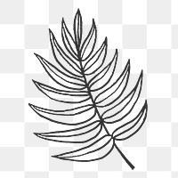 Png palm tree leaf sticker, simple line art collage element on transparent background