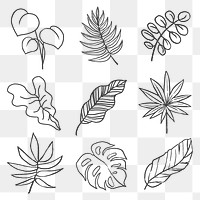 Leaf png sticker set, line art nature design on transparent background