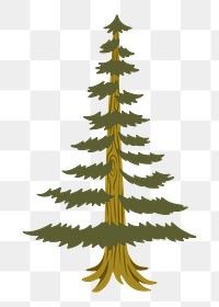 Pine tree png sticker, transparent background