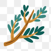 Green leaf png sticker, nature illustration, transparent background