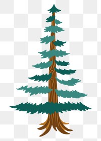 Pine tree png sticker, nature illustration, transparent background