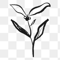 Flower png sticker, cute doodle on transparent background