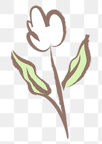 White tulip flower png sticker, pastel doodle in aesthetic design on transparent background