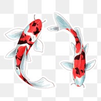 Png japanese koi fish cartoon sticker illustration