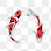 Png japanese koi fish cartoon sticker illustration