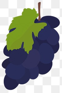 Png colorful grapes food sticker clipart