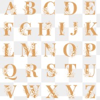 Alphabet floral font typography png set